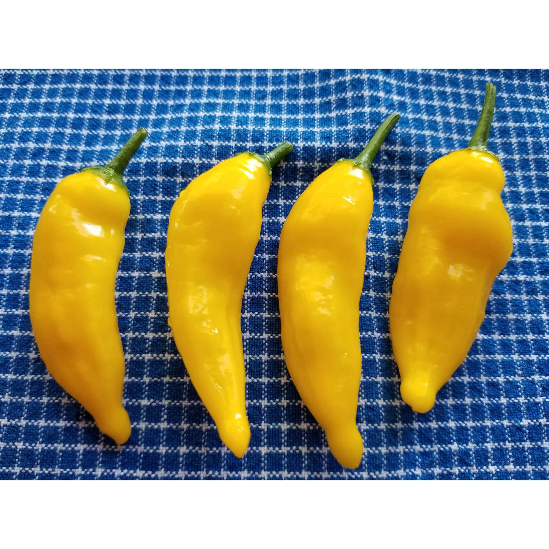 St Petersburg Tampa Photography Product Shot Food Lemon Drop Hot Peppers
